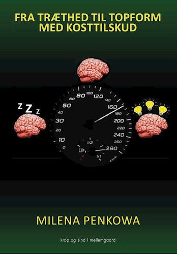 From Fatigue to Top Form by Milena Penkowa (book/books)