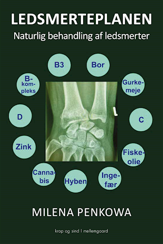 The Joint Pain Plan by Milena Penkowa (book/books)