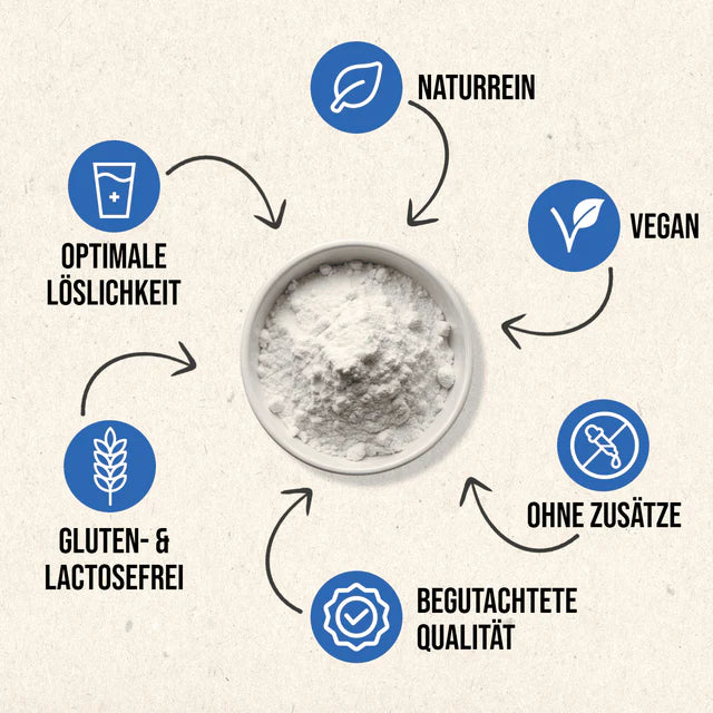 Inulin Prebiotics from Chicory, 1000g powder, RheinNatur