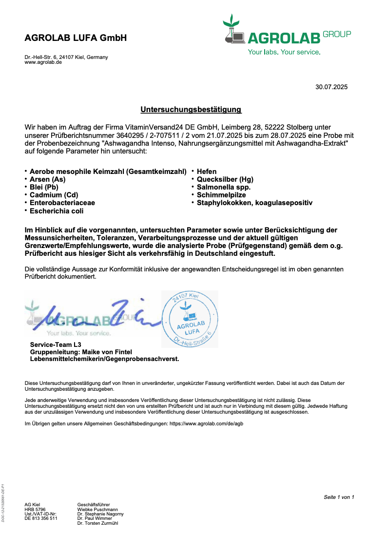 Ashwagandha Extract (10% Withanolides) 750mg, 180 Capsules, Vit4ever