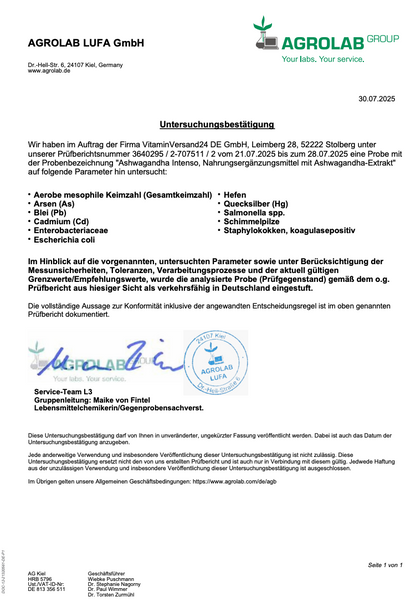 Ashwagandha Extract (10% Withanolides) 750mg, 180 Capsules, Vit4ever