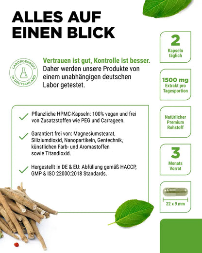 Ashwagandha Extract (10% Withanolides) 750mg, 180 Capsules, Vit4ever