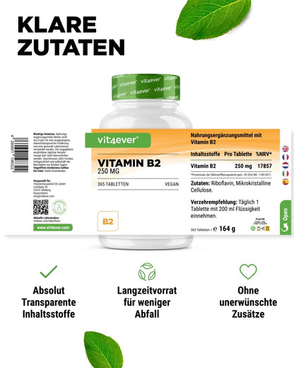B-Vitamin B2, 250 mg, 365 tablets, Vit4ever