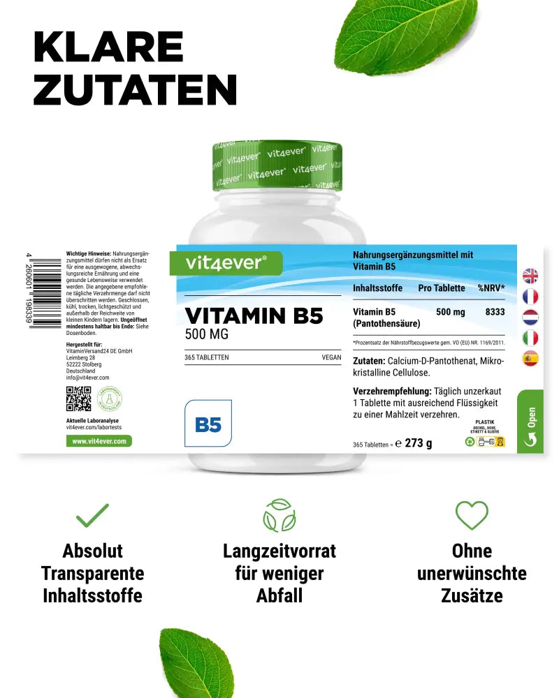 Vitamin B5, 365 tablets, 500mg, Vit4ever (Pantothenic Acid)